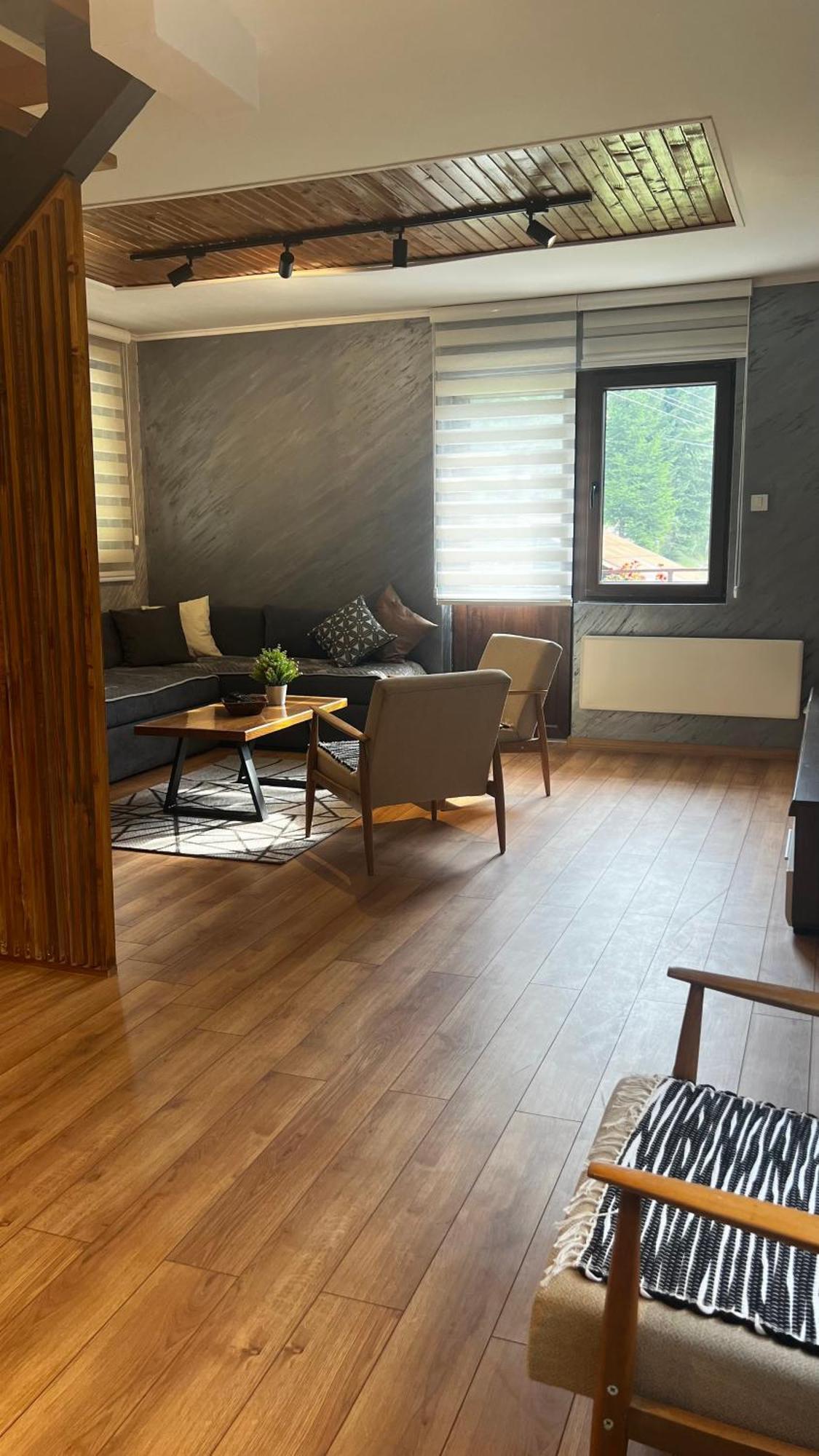 Ma Ritz Holiday home Zaovine