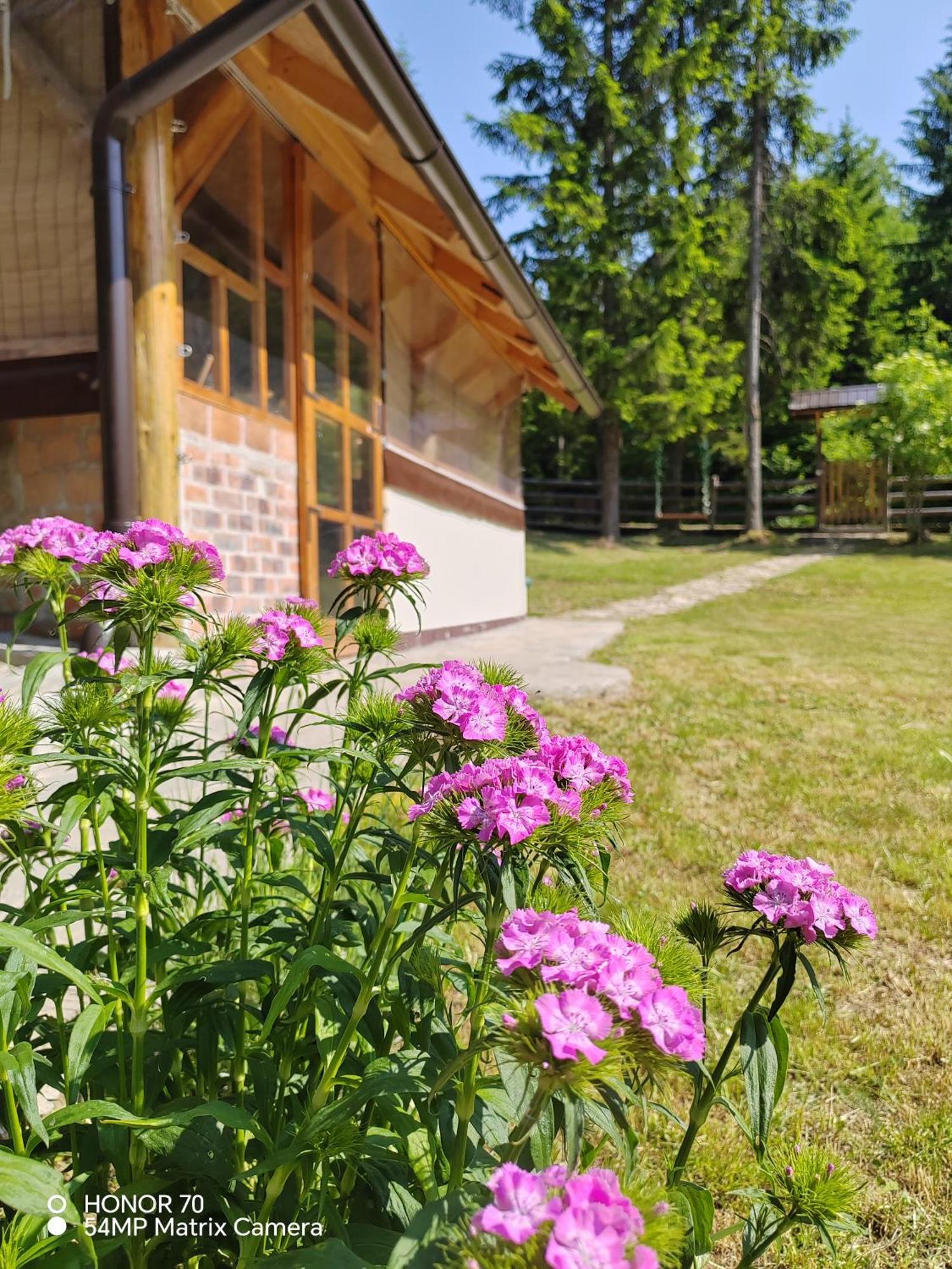 Tatil Evi Ma Ritz Zaovine